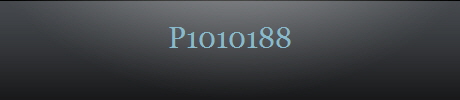 P1010188